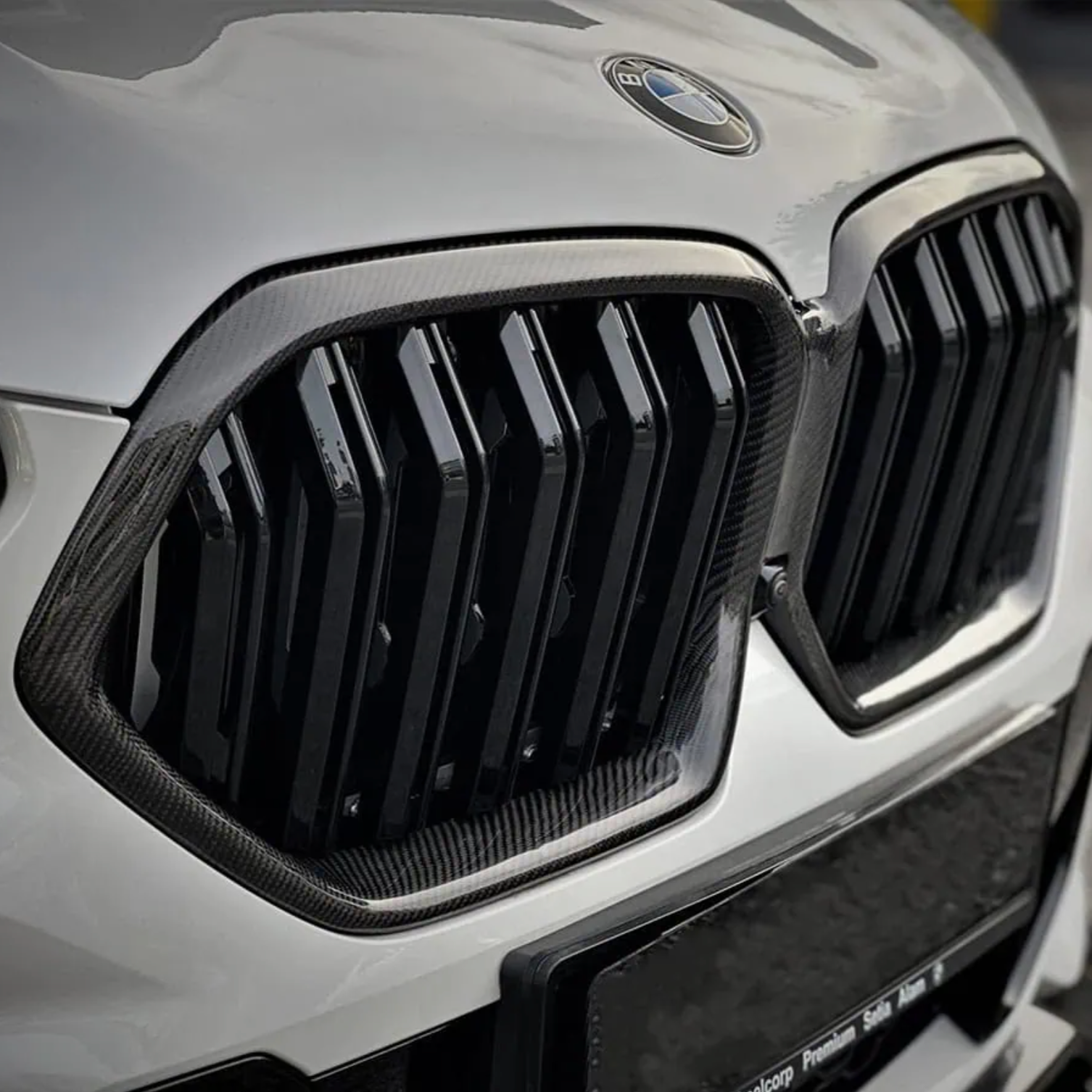 BMW X6 & X6M G06 F96 Parrillas Frontales de Doble Lama en Carbono (2019-2022)