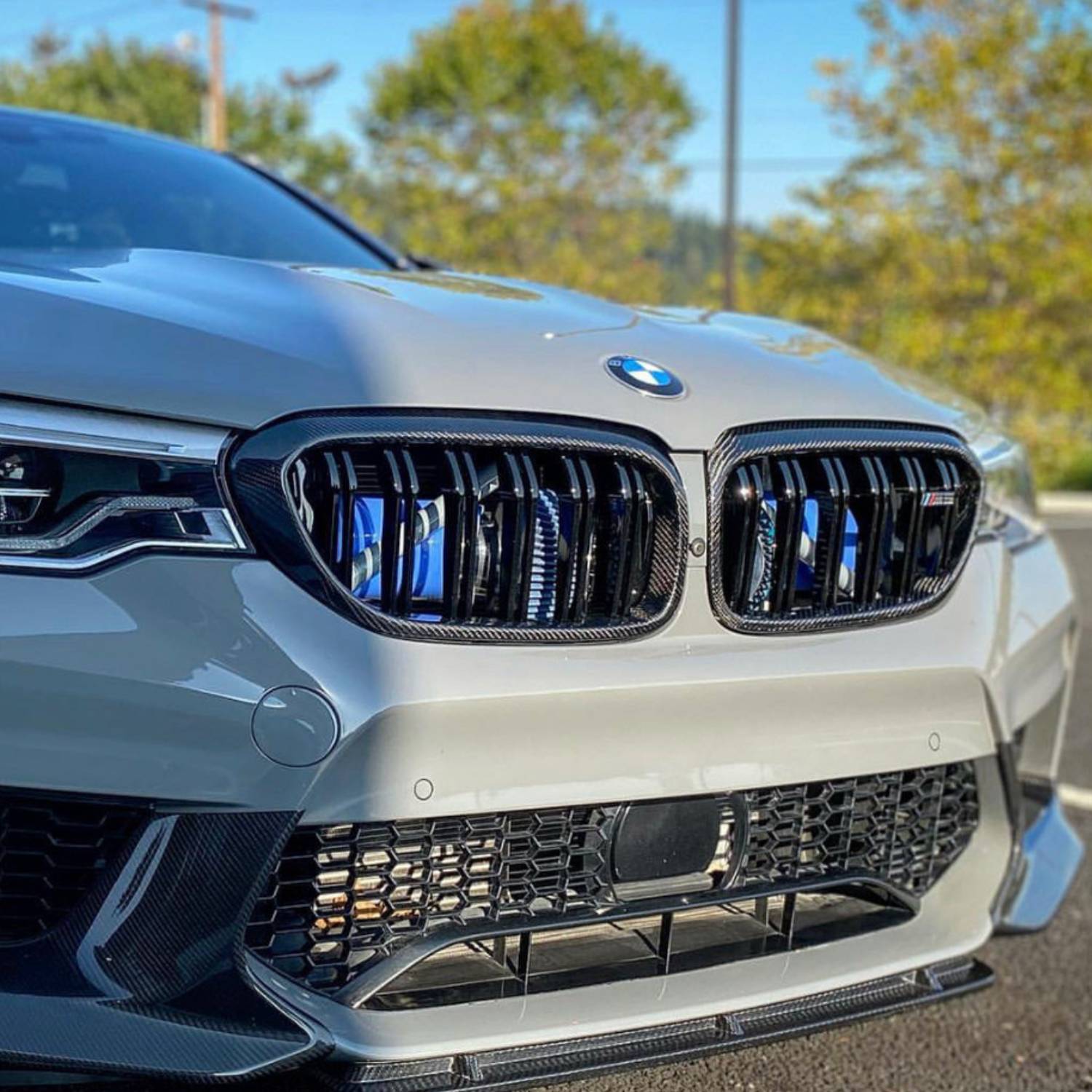 BMW Serie 5 G30 & M5 F90 Parrilla de Carbono Doble Lama (2017-2020)